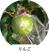 りんご